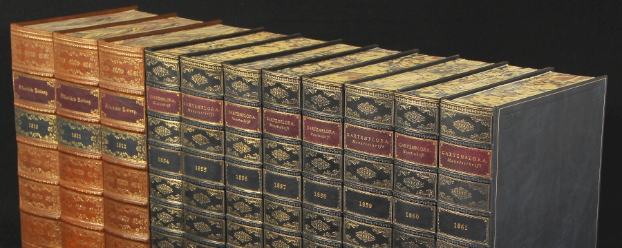 Faux fake books Antique spines