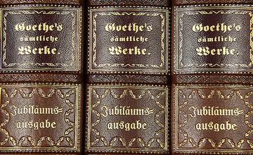 Fake faux books