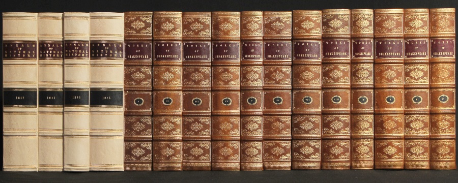 Decorative faux fake Book Set