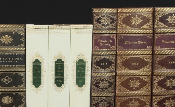 Leather Fake Faux Books