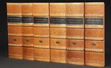 Leather Fake Faux Books