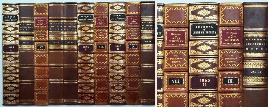 Antique Spines